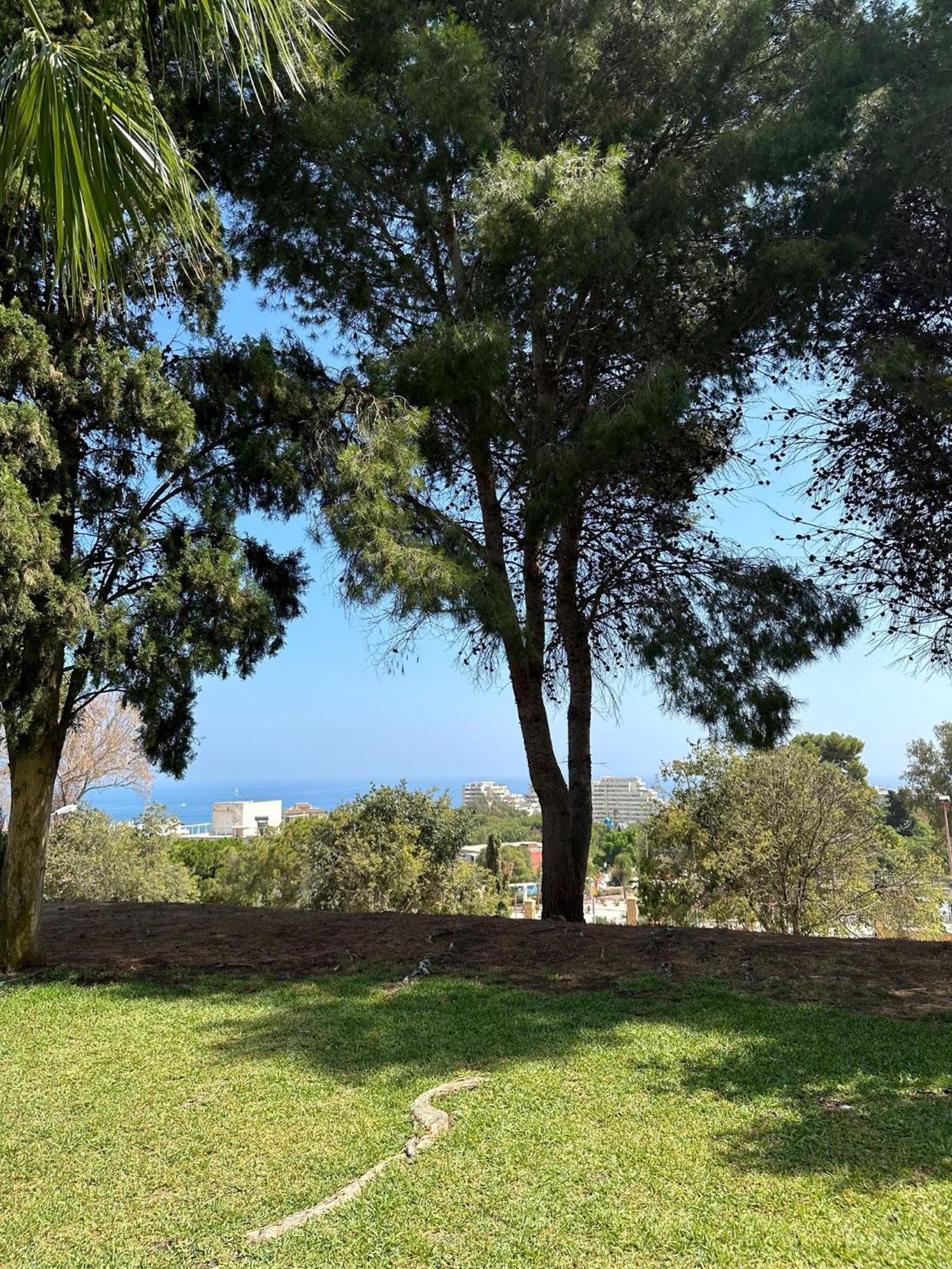 Benalmadena Gamonal Apartman Málaga Kültér fotó