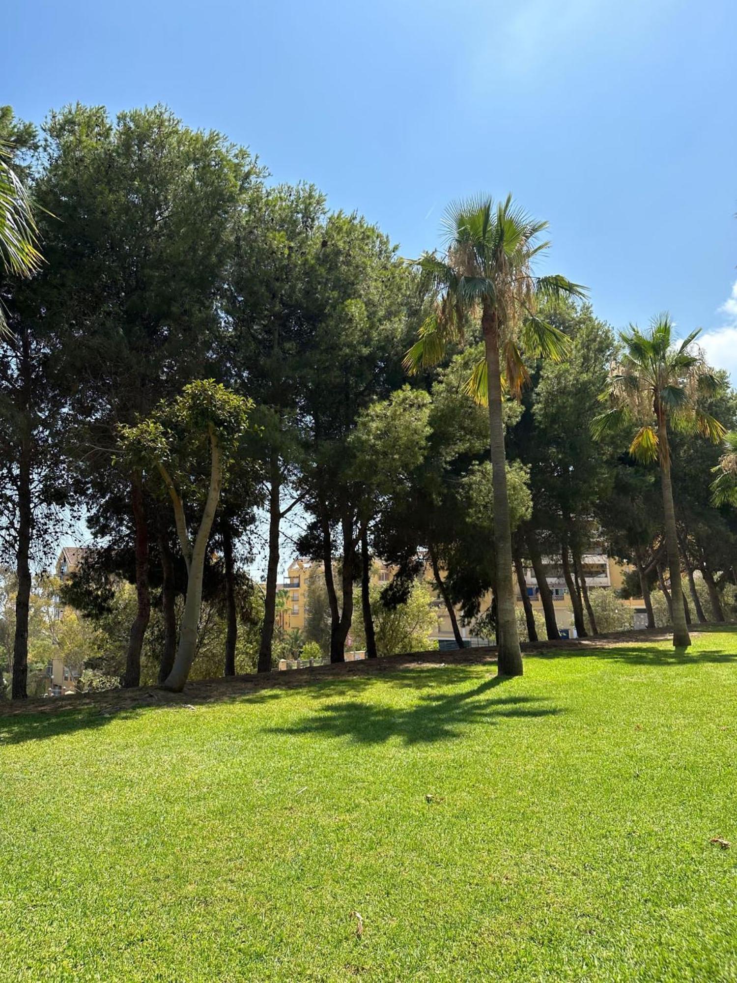 Benalmadena Gamonal Apartman Málaga Kültér fotó